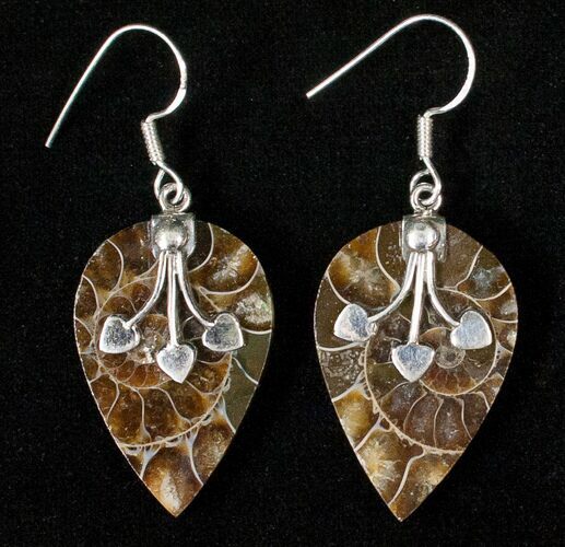 Fossil Ammonite Earrings - Sterling Silver #16556